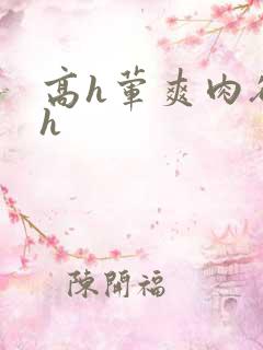 高h荤爽肉欲文h