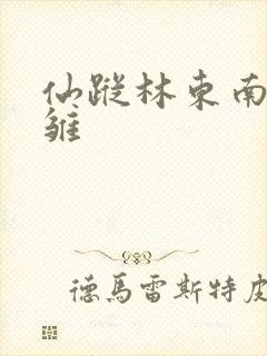 仙踪林东南亚小雏