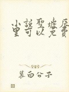 小说圣墟辰东哪里可以免费阅读