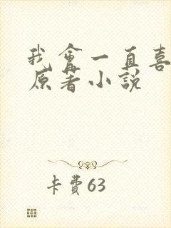 我会一直喜欢你原著小说