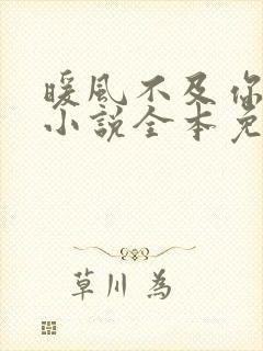 暖风不及你情深小说全本免费阅读