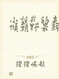 小说我的夫君权倾朝野最新章节