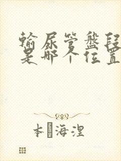 输尿管盘段结石是哪个位置图