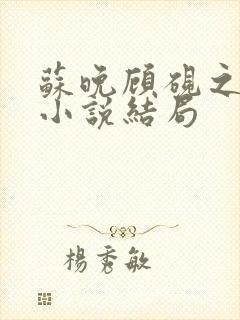 苏晚顾砚之原著小说结局