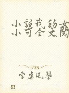 小说我的女儿叫小可全文阅读