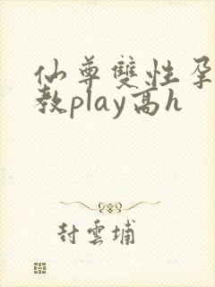 仙尊双性孕夫调教play高h