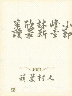 宁欣林峰小说阅读最新章节