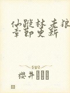 仙踪林老狼最新章节更新