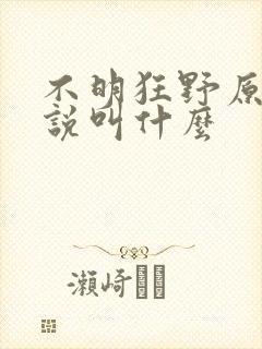 不明狂野原著小说叫什么