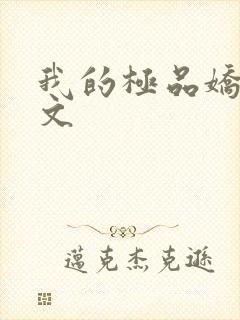 我的极品娇妻全文