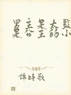 男主是太监女主是公主的小说