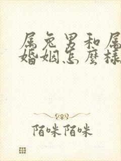 属兔男和属兔女婚姻怎么样