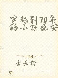 穿越到70年代的小说盛安宁免费阅读