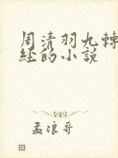 周清羽九转不灭经的小说