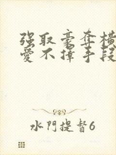 强取豪夺横刀夺爱不择手段偏执文