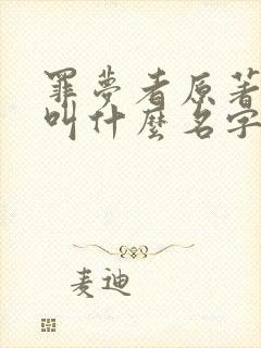 罪梦者原著小说叫什么名字