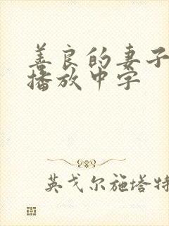 善良的妻子在线播放中字