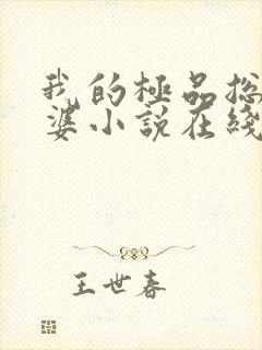 我的极品总裁老婆小说在线阅读