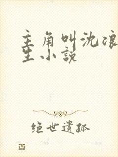 主角叫沈浪的重生小说