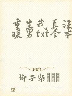 重生我真没想当暖男txt全本