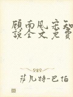 顾南风宋知意小说全文免费阅读