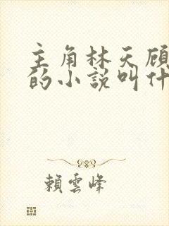 主角林天顾悦瑶的小说叫什么