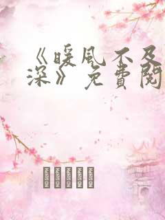 《暖风不及你情深》免费阅读