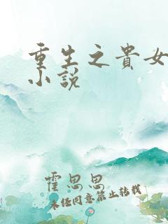 重生之贵女平妻小说
