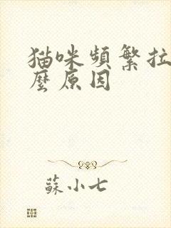 猫咪频繁拉尿什么原因