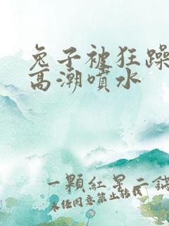 兔子被狂躁c到高潮喷水