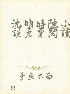 沈明时陈小雨小说免费阅读最新章节