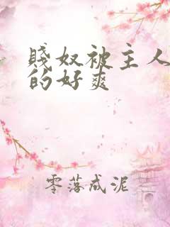 贱奴被主人调教的好爽