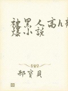 被黑人高h辣文爆小说