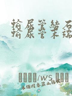 输尿管结石卡在输尿管末端