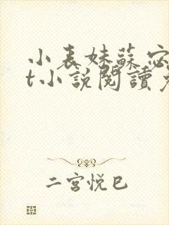 小表妹苏宓txt小说阅读免费