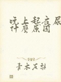 晚上起夜尿多是什么原因