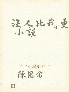 没人比我更爱你 小说