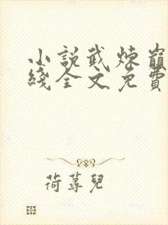 小说武炼巅峰在线全文免费阅读