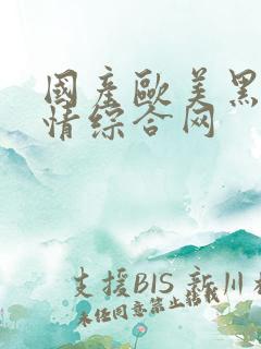 国产欧美黑人激情综合网