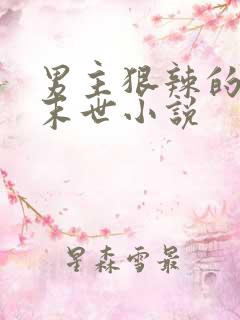 男主狠辣的重生末世小说