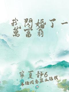 我闪婚了一个亿万富翁