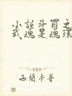 小说斗罗之我的武魂是魂环下载