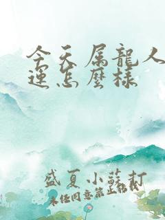 今天属龙人的财运怎么样