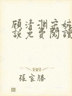 顾清渊宋婉凝小说免费阅读