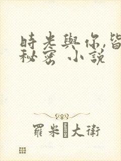 时光与你,皆是秘密 小说