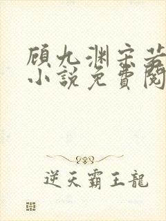 顾九渊宋若慈的小说免费阅读全文