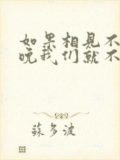 如果相见不会太晚我们就不会悲伤是什么歌