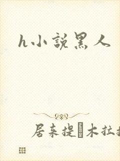 h小说黑人