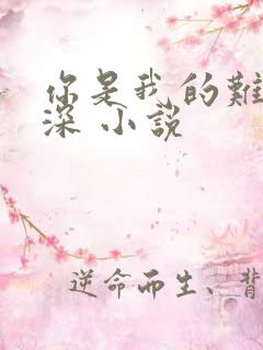 你是我的难得情深 小说