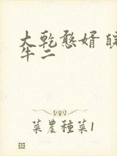 大乾憨婿 皖南牛二